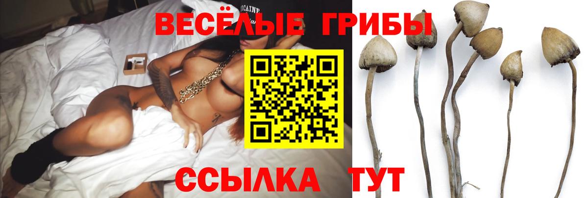 Галлюциногенные грибы Cubensis Белорецк
